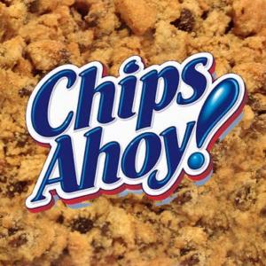 CHIPS AHOY 15 KG. CRUSHED  MONDELEZ 1CA